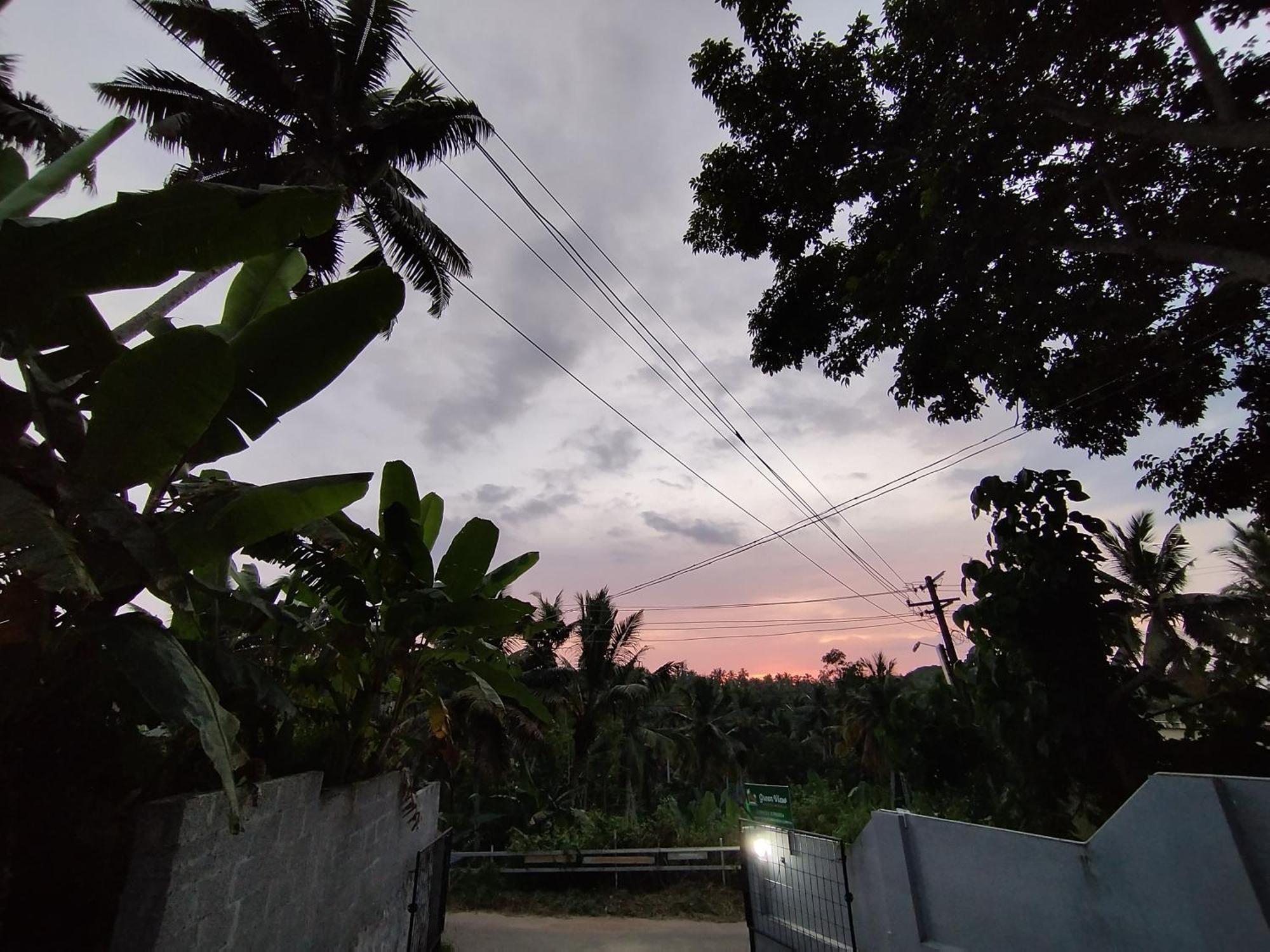 Greenview Homestay Kovalam 特里凡得琅 外观 照片